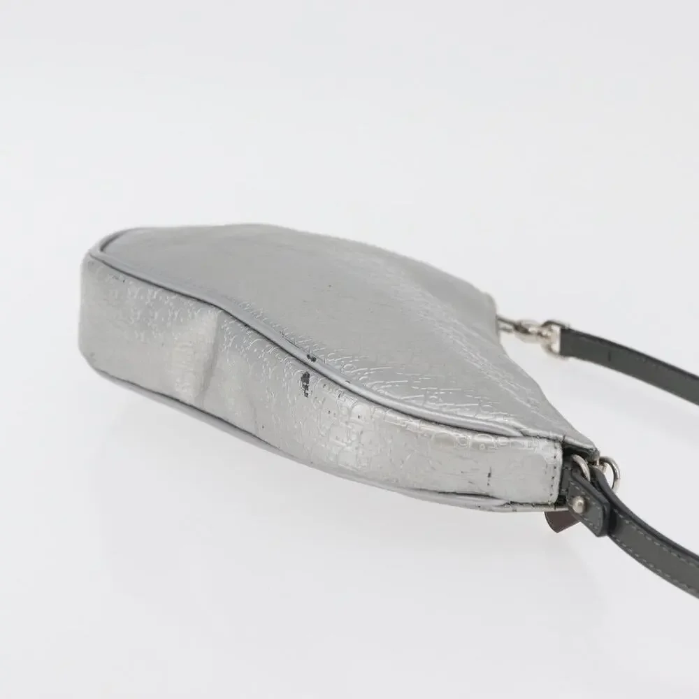 Dior Trotter Saddle Accessory Pouch Silver
